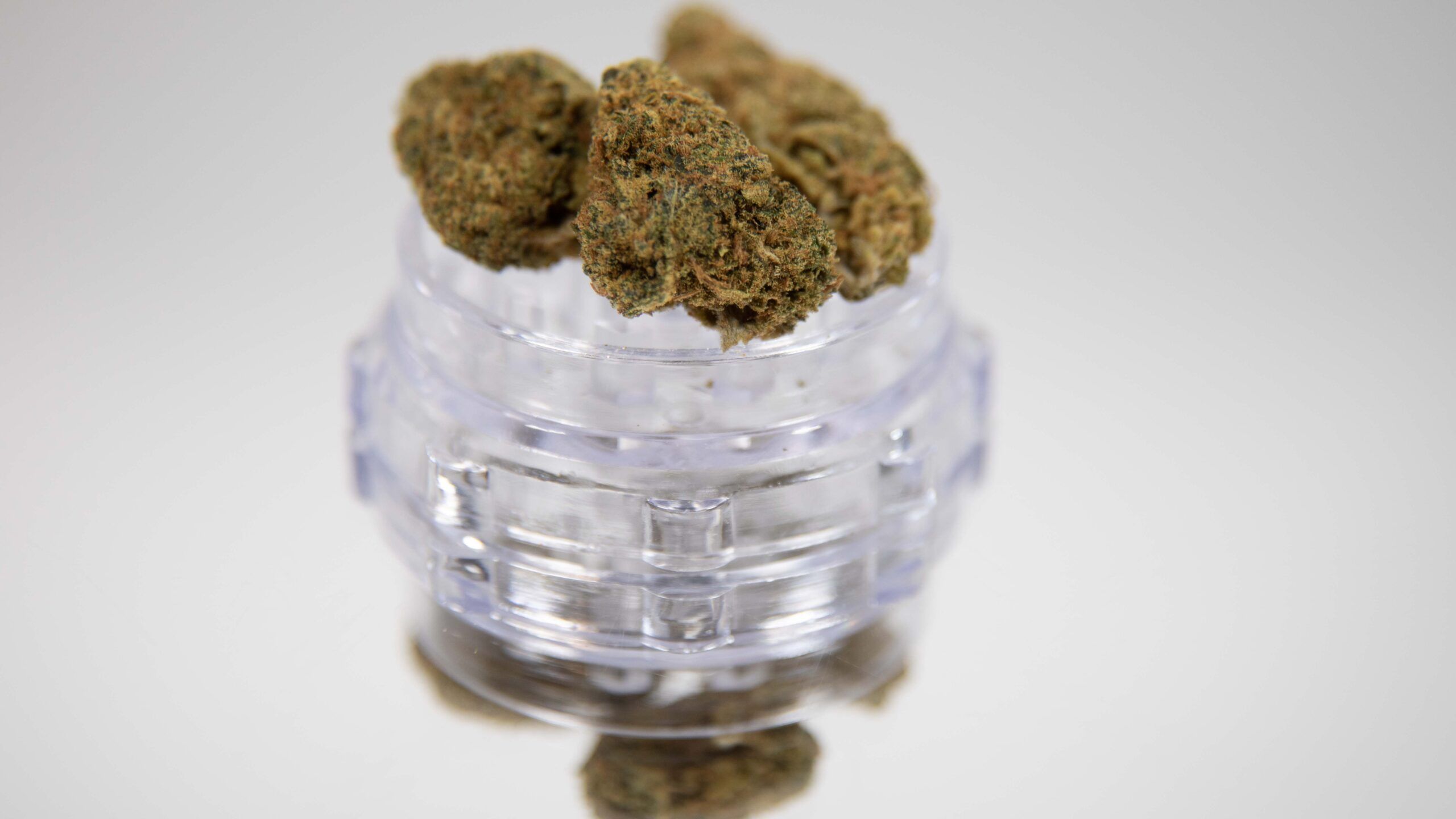 The 2022 Cannabis Cup Winners: A Look at the Best in Cannabis Innovation